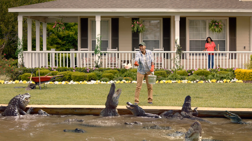 Mercury Insurance - Moat