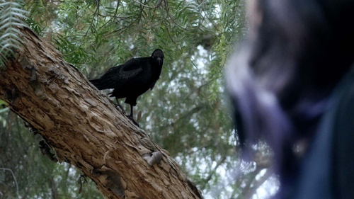 A Peculiar Tale gallery image 2